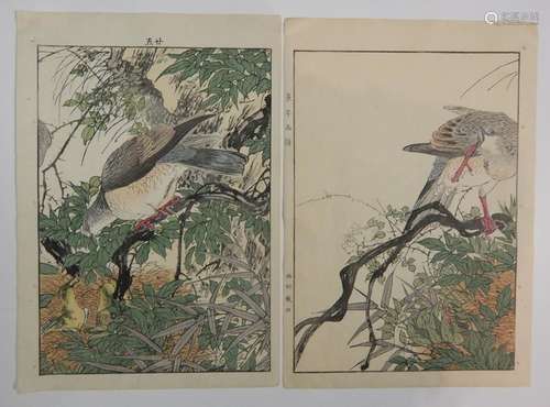 Imao Keinen, couple de pigeons. 1891 92.Imao Ke...