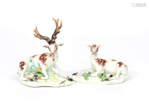 A pair of Derby figures of a stag and a doe c.1760-65, both recumbent on low shaped bases applied