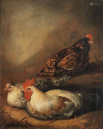 Chickens in a barn interior Attributed to Jacob Gerritsz. Cuyp(Dordrecht 1594-circa 1651)