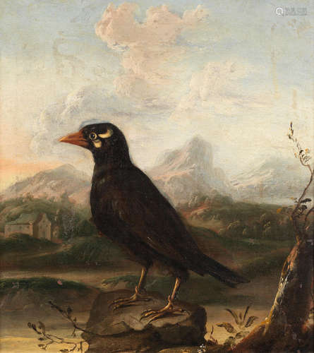 A mynah bird, an imaginary mountainous landscape beyond Attributed to Aert Schouman(Dordrecht 1710-1792 The Hague)