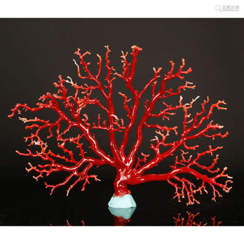 CHINESE LARGE NATURAL CORAL BRANCH