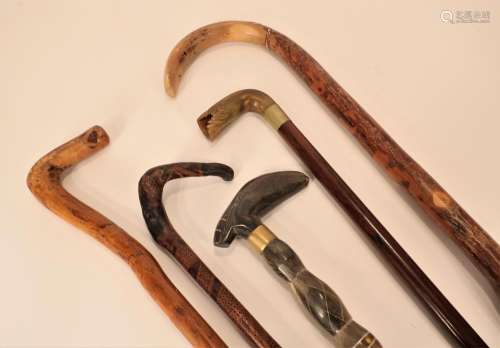 Five Walking Canes: Wood; Horn/Bone