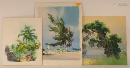 Carl G. Evers, 3 Tropical Scenes on Illus. Boards