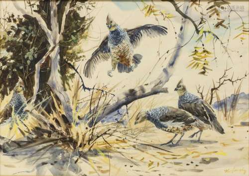 CLAY MCGAUGHY (B. 1931) BIRD WATERCOLOR PAINTING