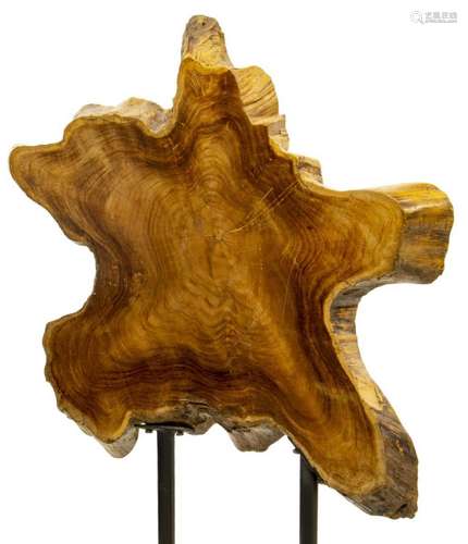 NATURAL FORM TEAK WOOD DISPLAY ON STAND