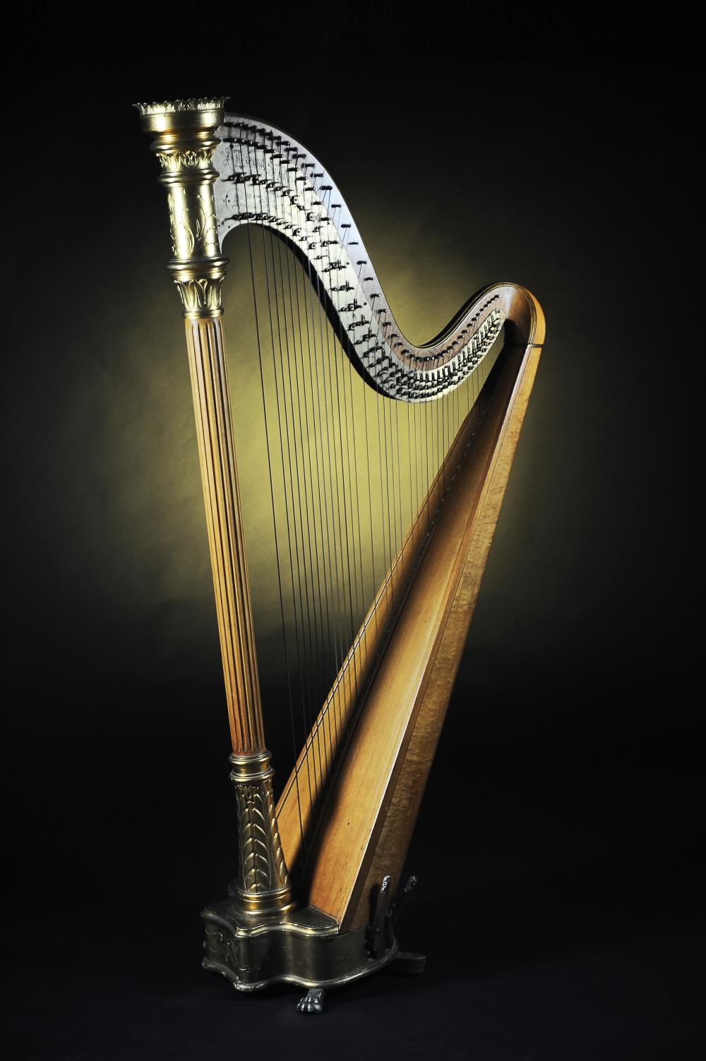lyon healy harp 11