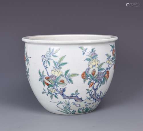 A DOUCAI 'FLORAL' FISH BOWL, KANGXI PERIOD