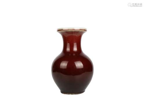 A Chinese Red Glazed Porcelain Vase 