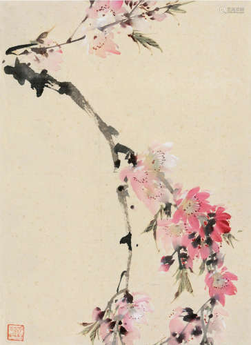 张书旂（1900～1957） 花卉 镜框连框 设色纸本