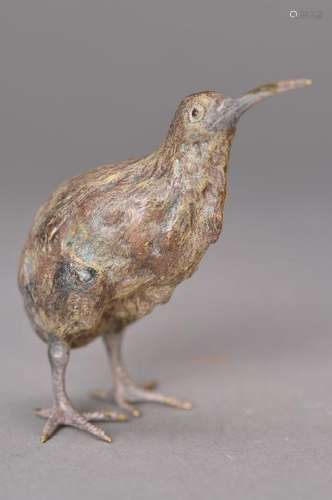 Vienna Bronze, 2.H.20.th. century, Kiwi, colorful