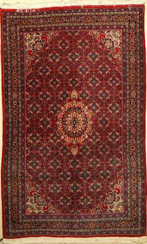 Bidjar Rug, Persia, approx. 60 years, wool on cotton