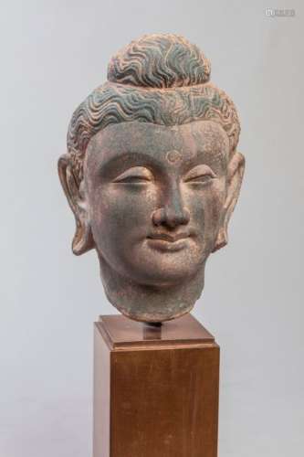 Tête de Boddhisattva à la chevelure bouclée organi...