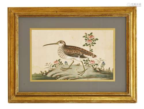 A pair of Chinese pith paper paintings, 19th century, one painted with a pheasant, the other with a ...