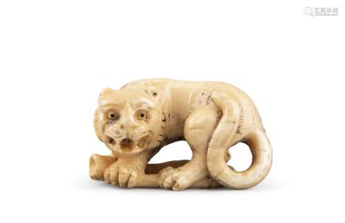 AN IVORY NETSUKE OF A CROUCHED TIGER, 18/19th century, signed, the animal modelled standing on a