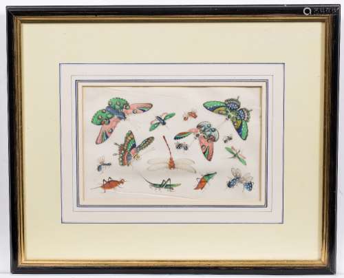 Rice paper drawings Chinese butterfly and insect studies, watercolours 29cm x 19cm