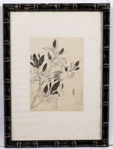 Monochrome woodblock print Japanese, 18th century depicting a bird perched on a magnolia branch,