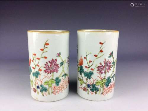 Pair of Chinese porcleian vase, famille rose glaze, decrodated