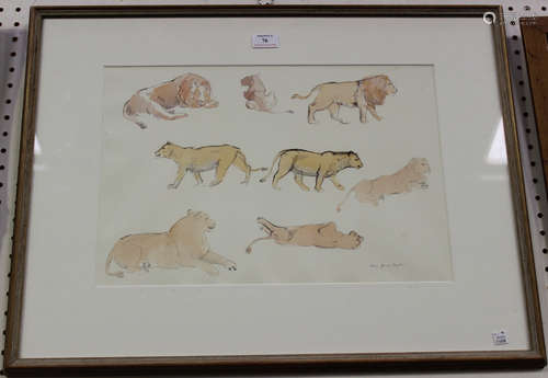 Eric James Mellon - Studies of Lions, 20th century ink with watercolour, signed, 31cm x 46cm, within