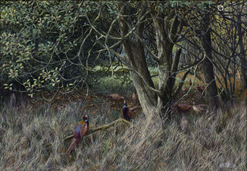 Ken Turner - 'Pheasants in the Boggy Patch', 20th century oil on board, signed recto, titled label