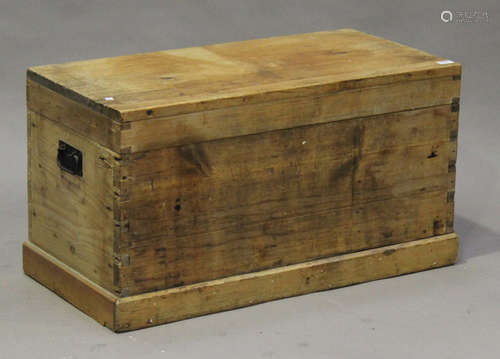 A 20th century pine trunk, the hinged lid above carrying handles, on a plinth base, height 50cm,