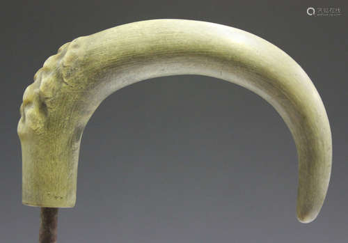 A late 19th/early 20th century carved rhino horn walking stick handle of curved form, length 11cm.