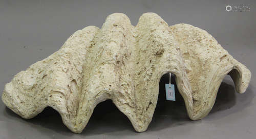 A modern moulded resin model of a giant clam shell, width 105cm.Buyer’s Premium 29.4% (including VAT