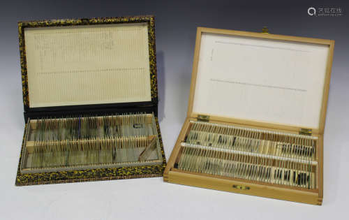 A collection of sixty-one microscope specimen slides, the majority entomological, cased, together