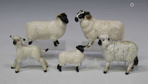 A group of five Beswick models of sheep, comprising Black-faced Sheep, No. 1765, Black-faced Ram,