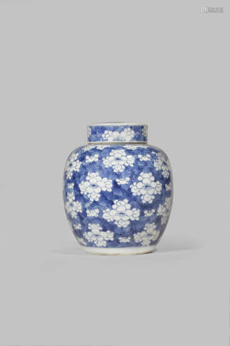 A CHINESE BLUE AND WHITE 'PRUNUS' JAR