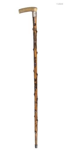 A rhinoceros horn handled walking cane