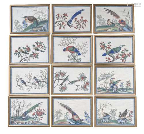 A set of twelve Chinese paintings on rice paper