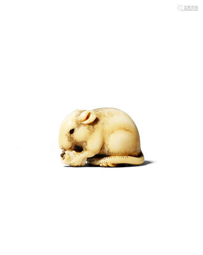 A GOOD JAPANESE IVORY NETSUKE EDO 1603-1868 Depicting a small rat seated on its haunches and