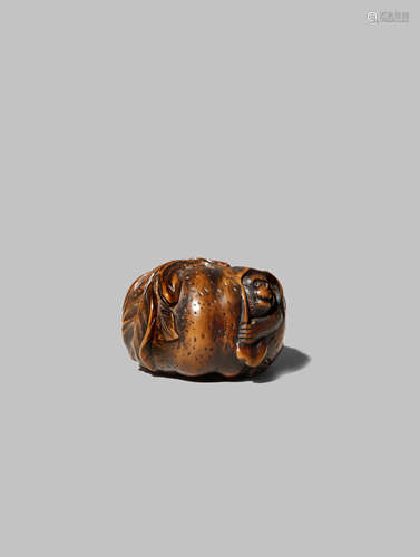 A JAPANESE WOOD NETSUKE EDO/MEIJI PERIOD Depicting a joyful-looking monkey emerging from a giant