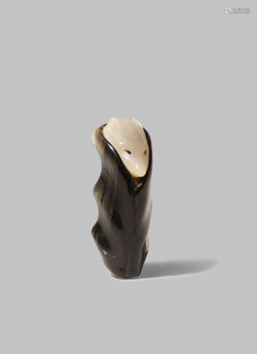 A BONTEBOK HORN CARVING, OKIMONO 20TH CENTURY Carved as a stylised tanuki resting in a hollow tree