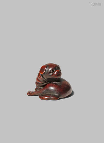 A JAPANESE WOOD NETSUKE EDO/MEIJI PERIOD Carved as a puppy resting with its head turned to the side,