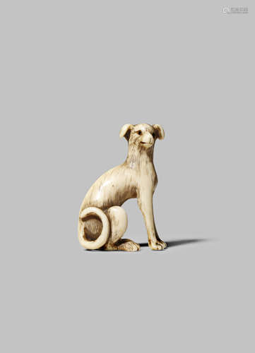 A JAPANESE IVORY NETSUKE EDO 1603-1868 Carved as a lean dog, seated with its head turned to the