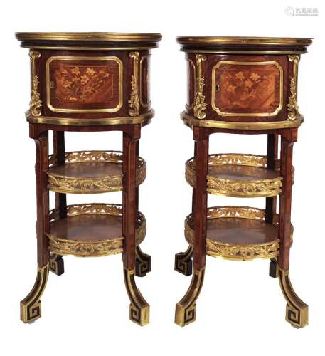 PAIR OF NINETEENTH-CENTURY ORMOLU MOUNTED KINGWOOD AND MARQUETRY PEDESTALS