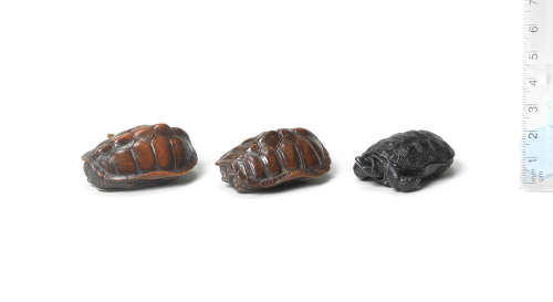 Edo period, 19th century Three wood netsuke of tortoises
