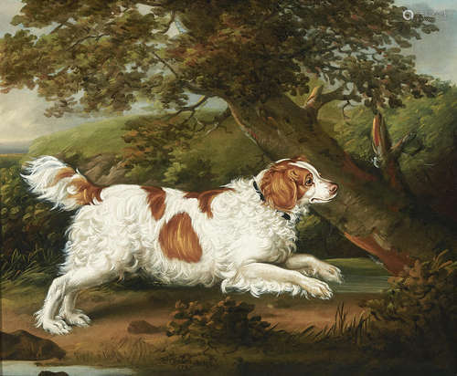 Quaile, an English spaniel in a wooded landscape 20 x 24in (50.8 x 61cm) Henry Bernard Chalon(British, 1770-1849)