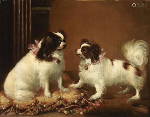 English toy spaniels adorned with pink ribbons 23 3/4 x 30in (60.3 x 76.3cm) English School19th century