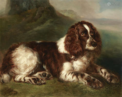 A springer spaniel resting in a landscape 24 x 30 1/4in (61 x 76.9cm) Walter Harrowing(British, active 1877-1904)