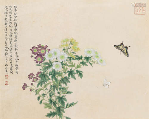 吴美美 2008年作 菊花蝴蝶 镜框 设色纸本