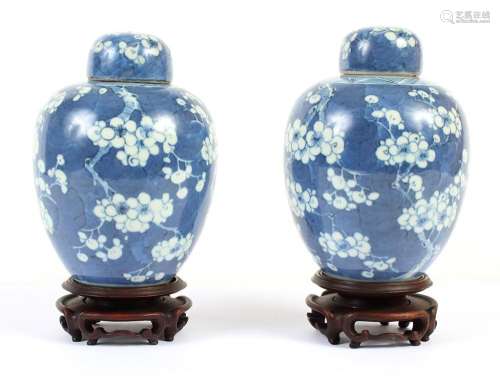 PAIR 19TH CENTURY KANGXI STYLE PORCELAIN JARS - B/W jars with sky blue ground decorated with branches of flowering prunus; Original ...
