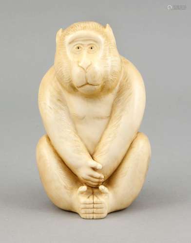 hockender Affe, Japan, 19. Jh., große Elfenbeinschnitzerei, signiert, 986 g, H. 16 cm
