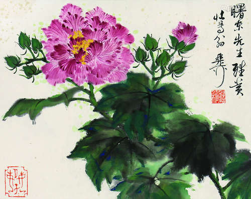 谢稚柳 芙蓉花 片 纸本