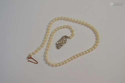 A single row of uniform cultured pearls knotted throughout onto diamond and pearl set scroll clasp