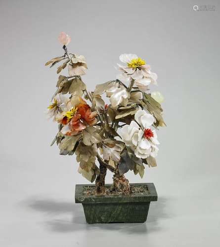 Chinese Flowering 'Tree'