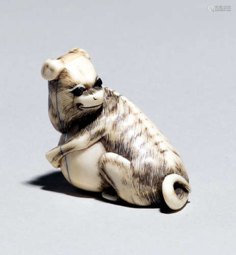 AN IVORY NETSUKE OF A SEATED PUPPY WITH A BALL