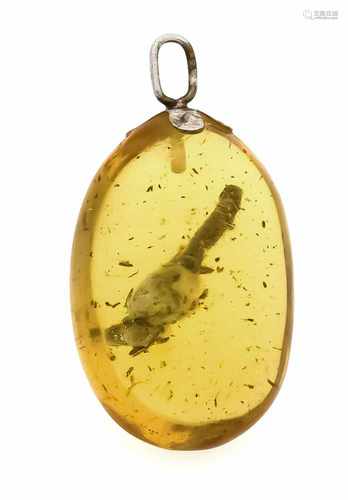 Einschluss-Bernstein-Anhänger Doublé, L. 38 x 20 mm, 6,5 gIncluding amber pendant Doublé, L. 38 x 20