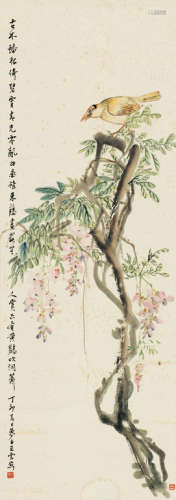 王梦白（1888～1934） 丁卯（1927年）作 紫藤黄鹂 立轴 设色纸本